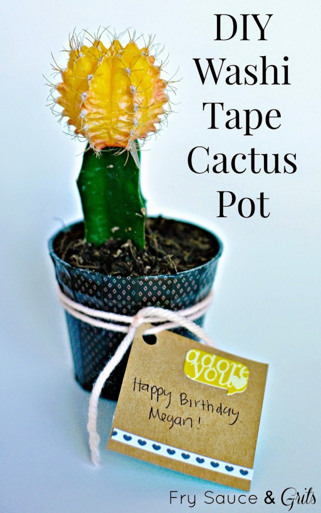 DIY Washi Tape Cactus Birthday Gift Fry Sauce and Grits